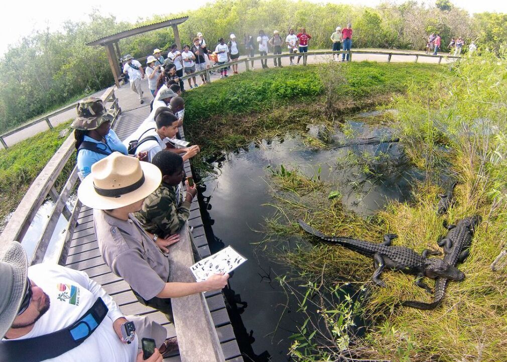 #25. Everglades: See gators